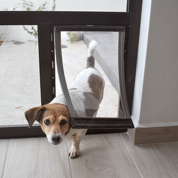 pet door